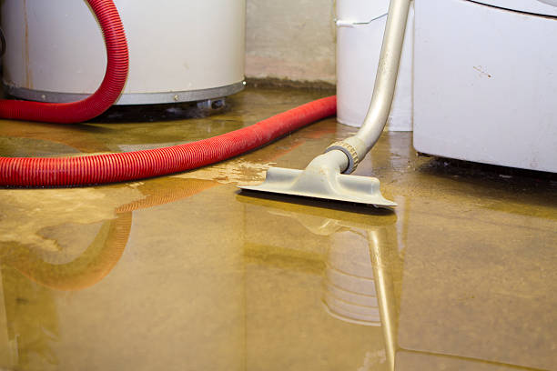 Best 24/7 water damage repair  in Mountain Green, UT