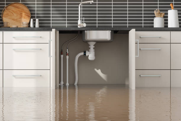 Best Flooded house restoration  in Mountain Green, UT