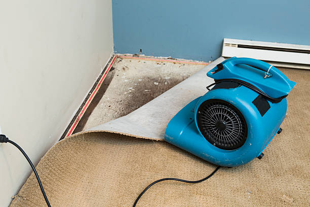 Best Fire Damage Restoration  in Mountain Green, UT