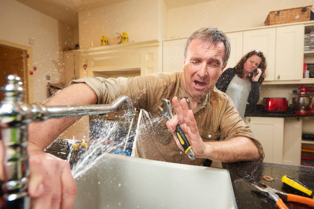 Best Flood damage cleanup  in Mountain Green, UT